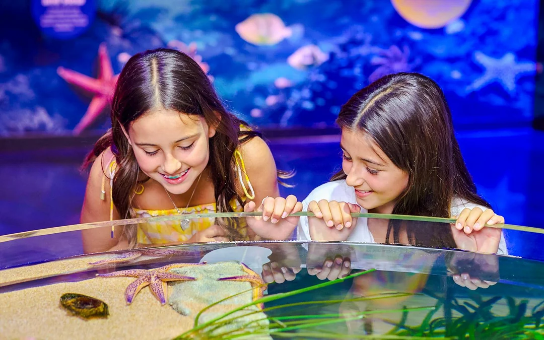 SEA LIFE Melbourne Aquarium Tickets Image 1