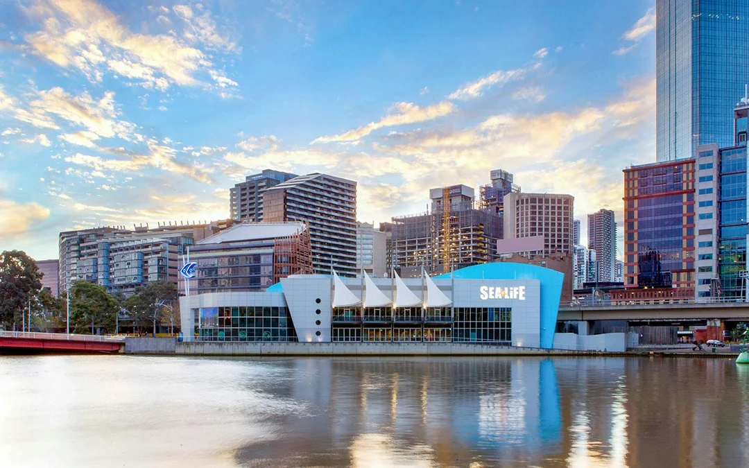 SEA LIFE Melbourne Aquarium Tickets Image 2