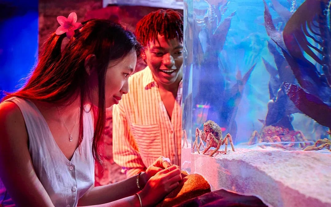SEA LIFE Melbourne Aquarium Tickets Image 11