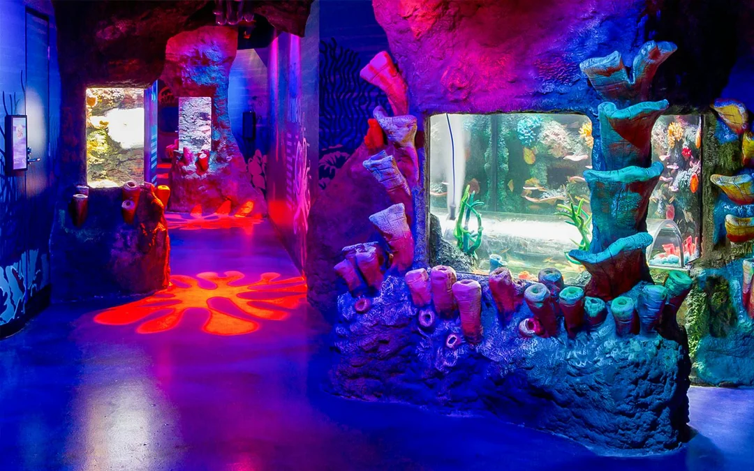 SEA LIFE Melbourne Aquarium Tickets Image 12