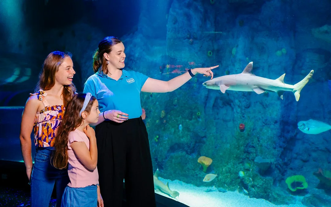 SEA LIFE Melbourne Aquarium Tickets Image 4