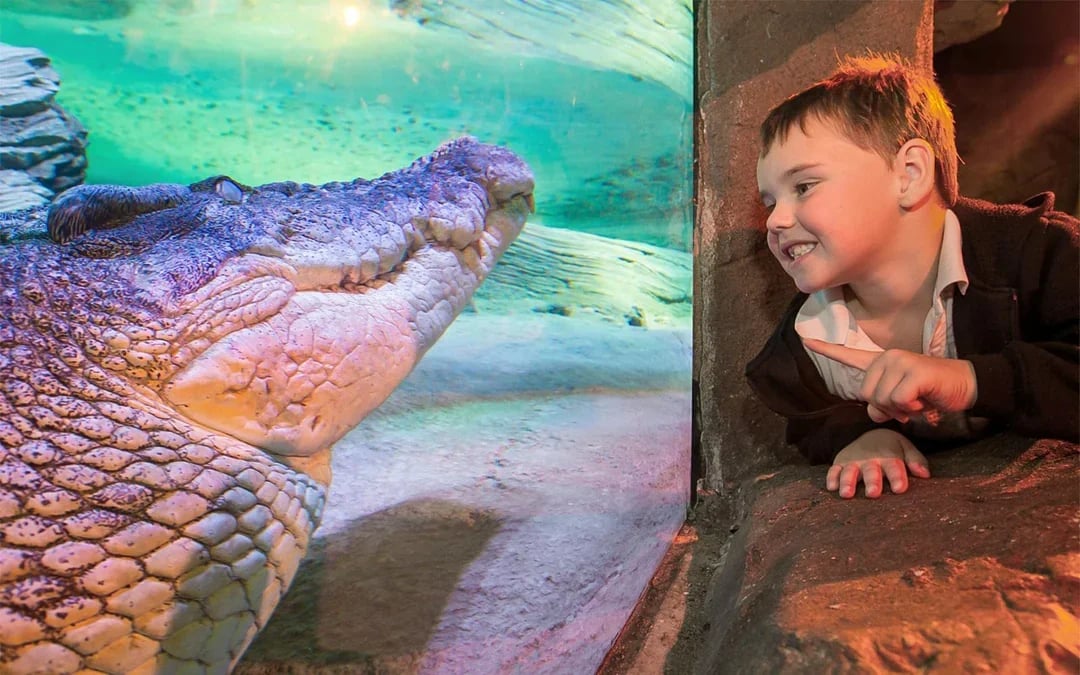 SEA LIFE Melbourne Aquarium Tickets Image 7