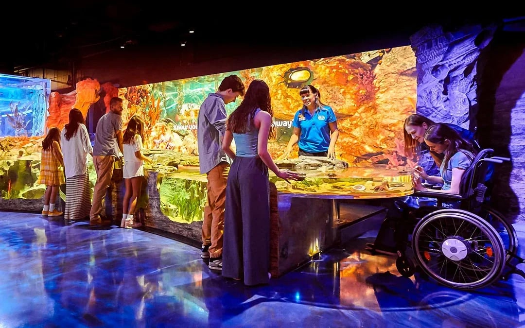 SEA LIFE Melbourne Aquarium Tickets Image 8