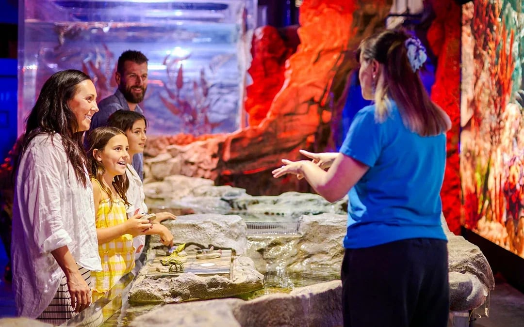 SEA LIFE Melbourne Aquarium Tickets Image 10