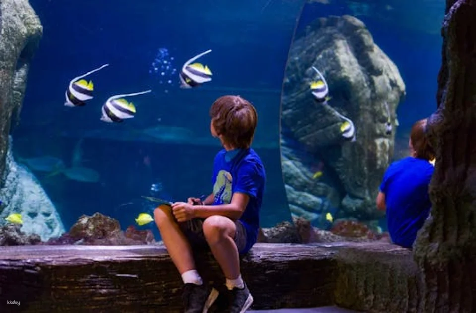 Entrance tickets to discover Munich Sea Life aquarium
