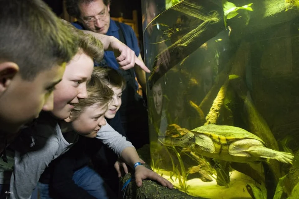 Entrance tickets to discover Munich Sea Life aquarium