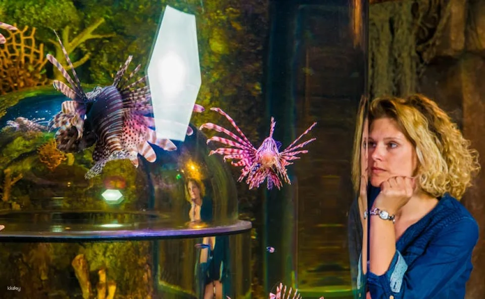 Entrance tickets to discover Munich Sea Life aquarium