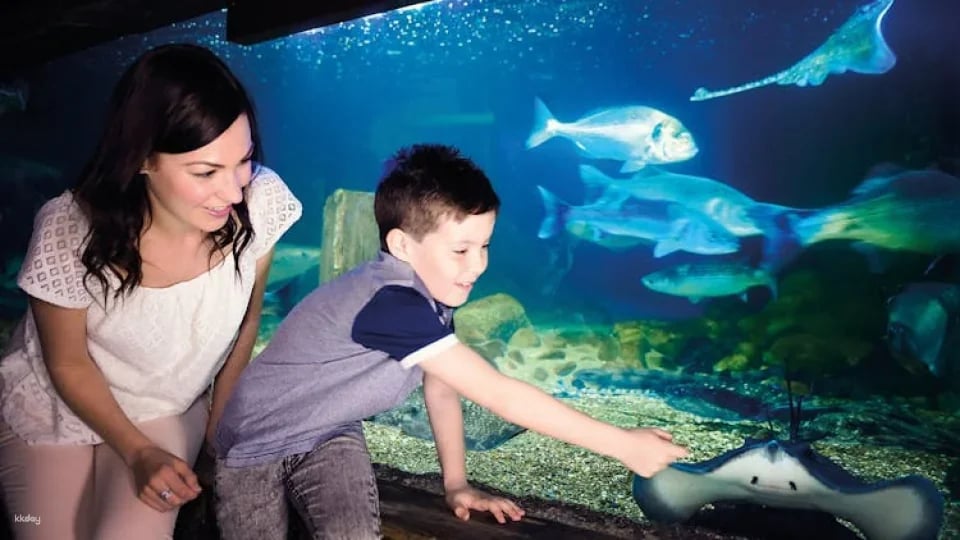 Entrance tickets to discover Munich Sea Life aquarium