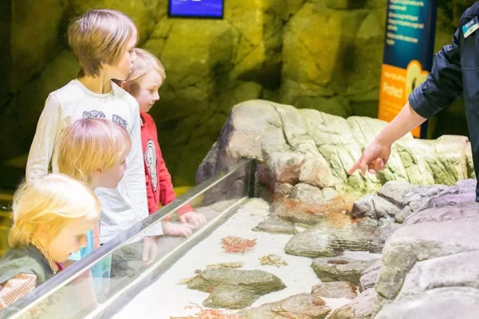 Entrance tickets to discover Munich Sea Life aquarium
