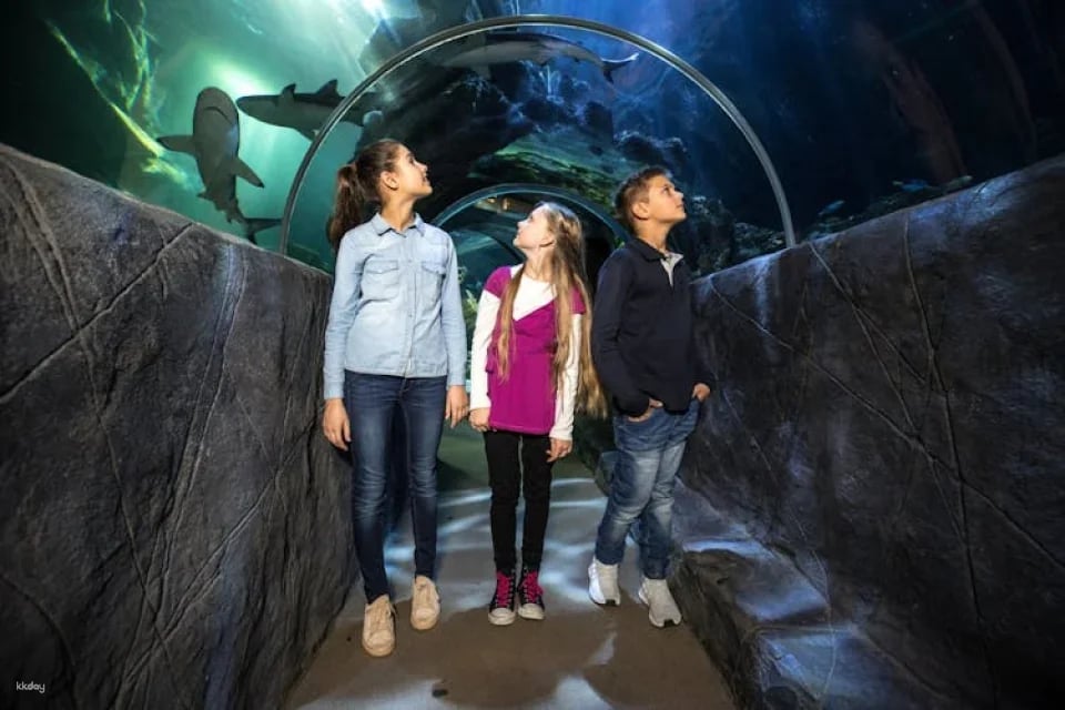 Entrance tickets to discover Munich Sea Life aquarium