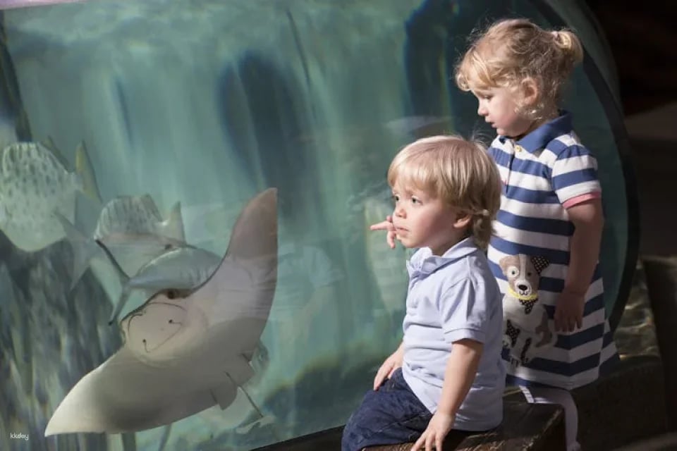 Entrance tickets to discover Munich Sea Life aquarium