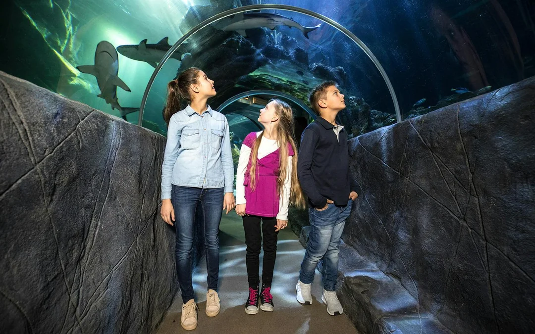 SEA LIFE Munich Ticket Image 1