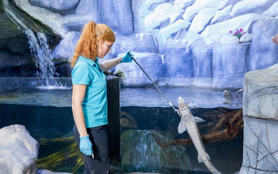 SEA LIFE Oberhausen Ticket Image 7