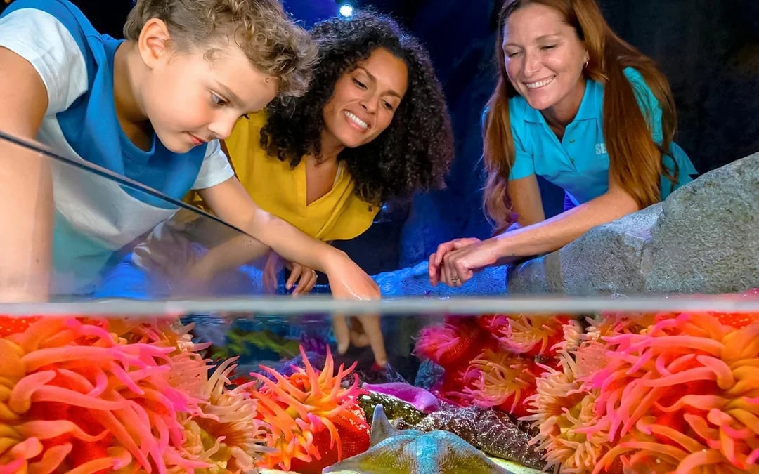 SEA LIFE Orlando Aquarium Admission Tickets Image 2