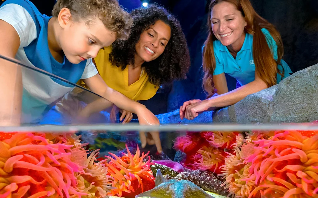 SEA LIFE Orlando Aquarium Admission Tickets Image 2