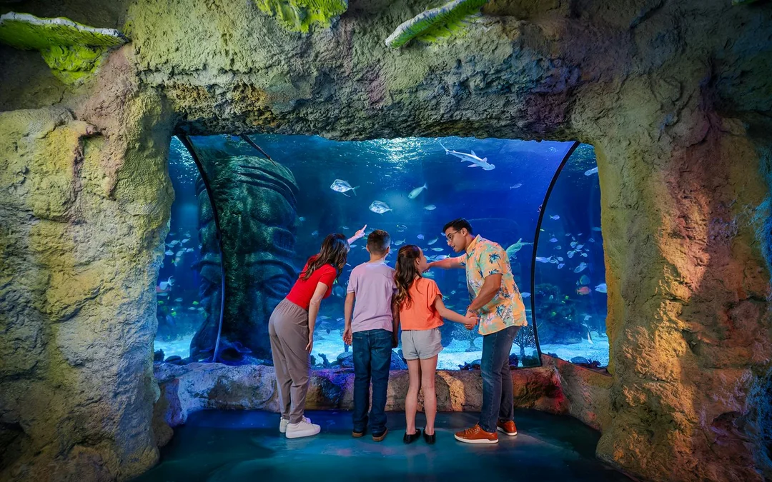 SEA LIFE Orlando Aquarium Admission Tickets Image 3