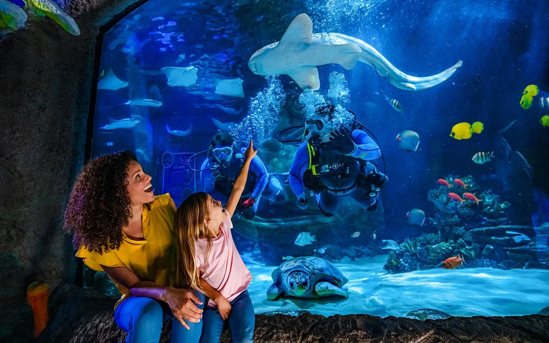 SEA LIFE Orlando Aquarium Admission Tickets Image 4