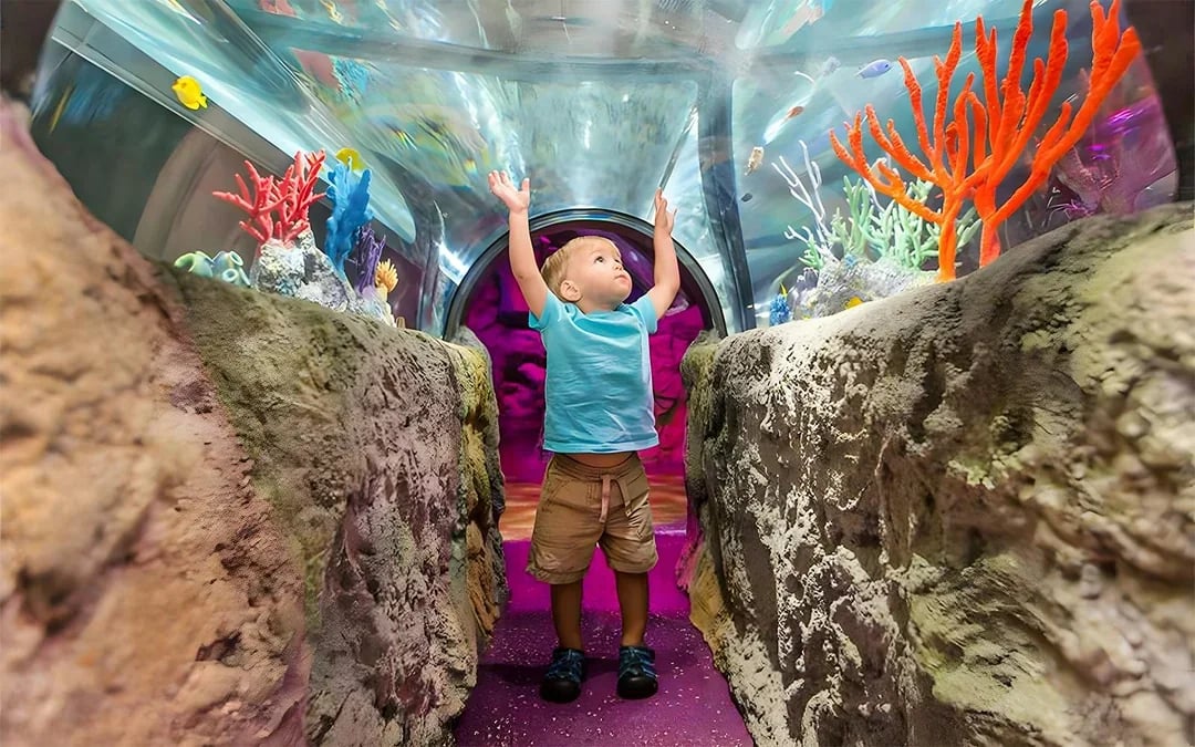 SEA LIFE Orlando Aquarium Admission Tickets Image 6
