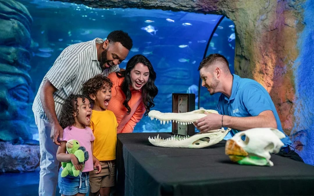 SEA LIFE Orlando Aquarium Admission Tickets Image 7