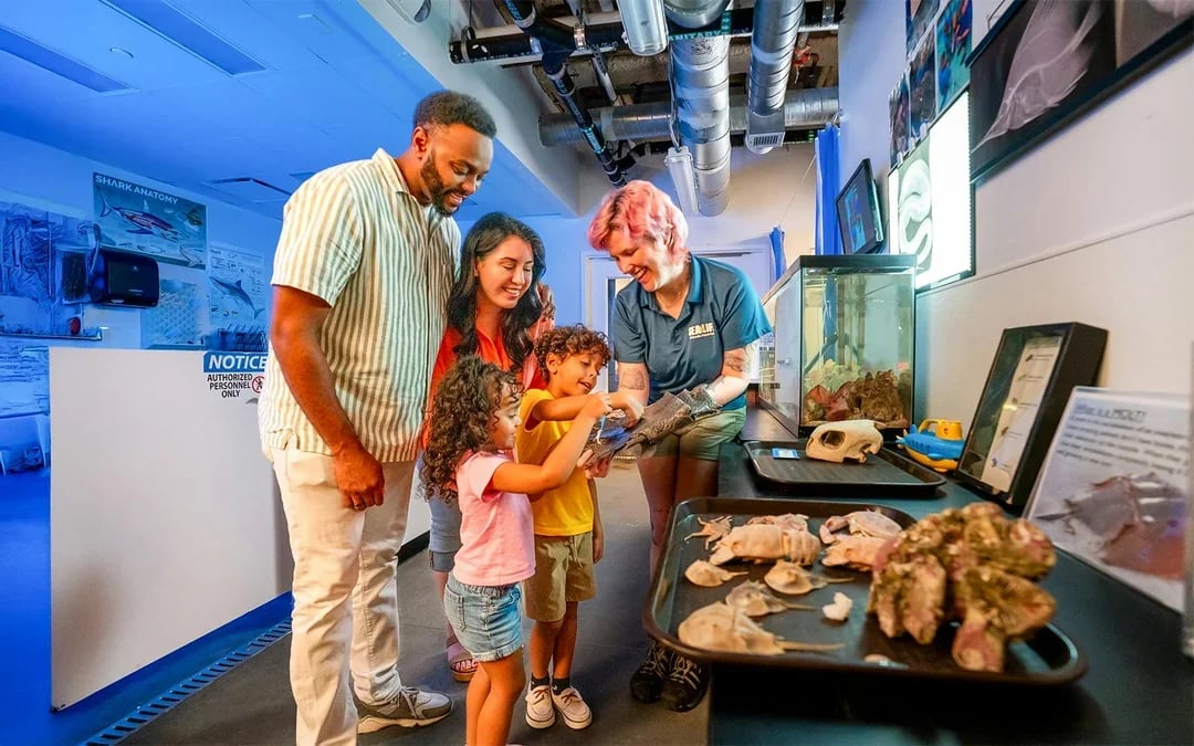 SEA LIFE Orlando Aquarium Admission Tickets Image 10