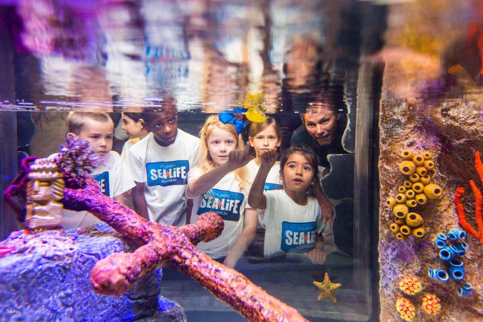 Sea Life Orlando Aquarium Ticket | Florida