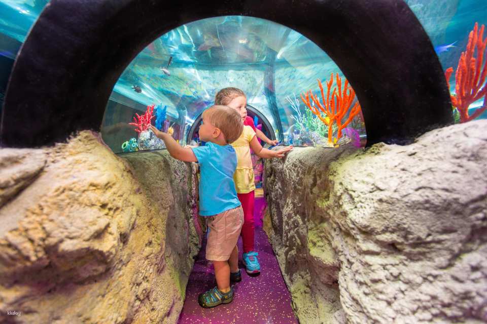 Sea Life Orlando Aquarium Ticket | Florida