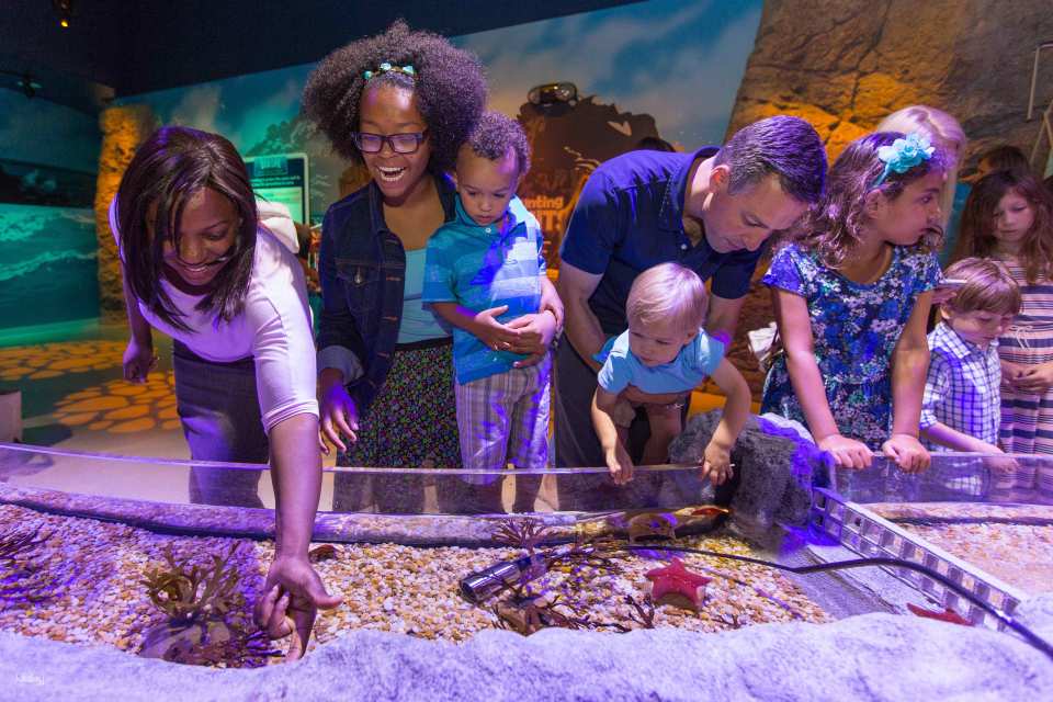 Sea Life Orlando Aquarium Ticket | Florida