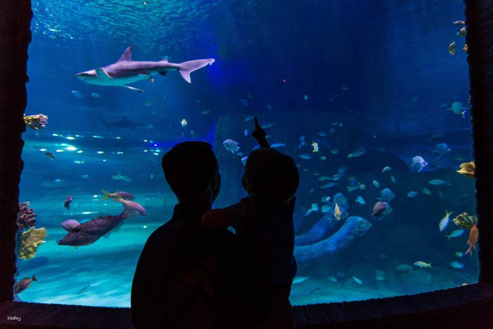Sea Life Orlando Aquarium Ticket | Florida