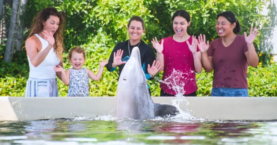 Sea Life Park Ticket with Dolphin Aloha Experience | Hawaii