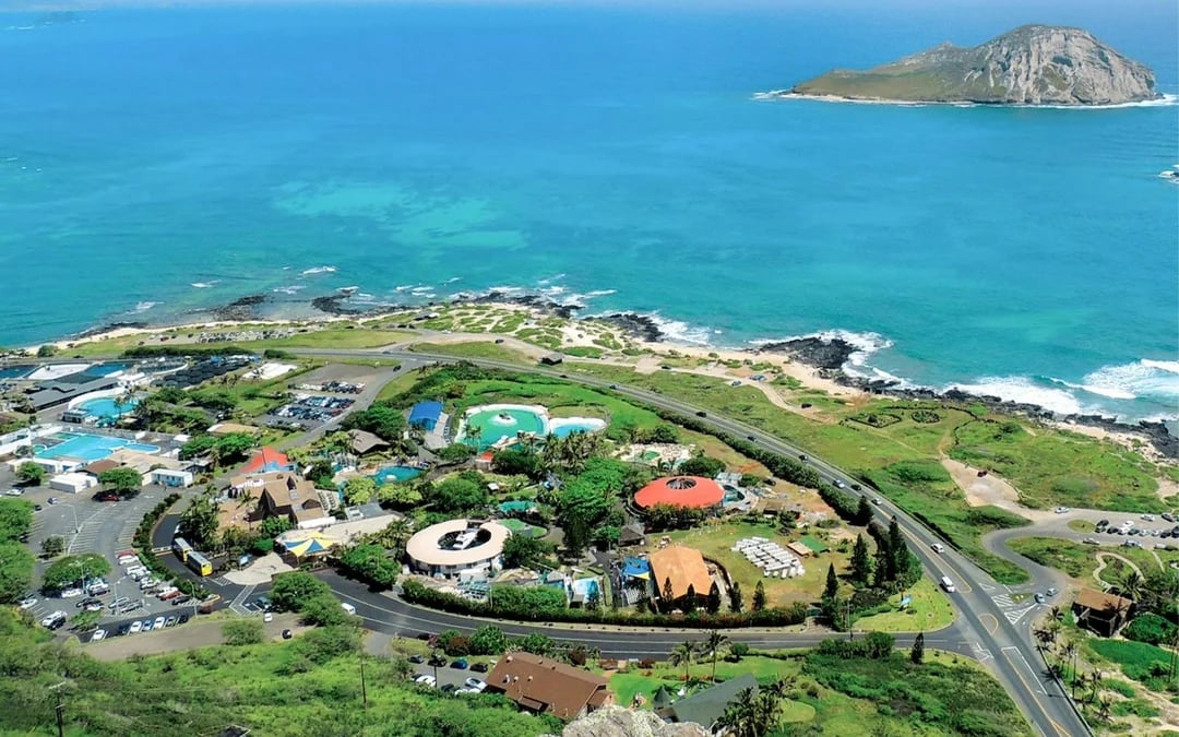 Sea Life Park Hawaii Tickets Image 1
