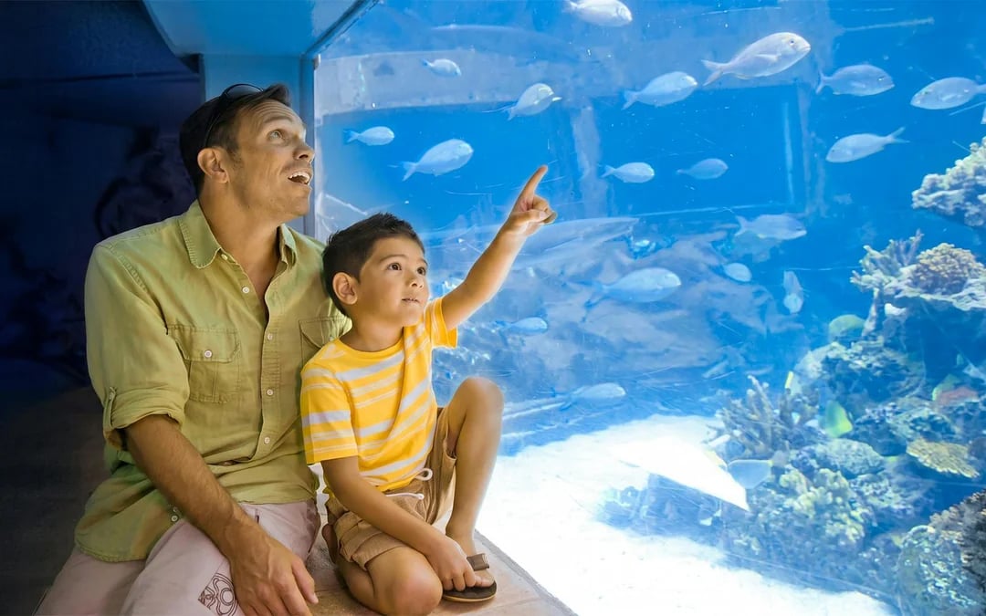 Sea Life Park Hawaii Tickets Image 2