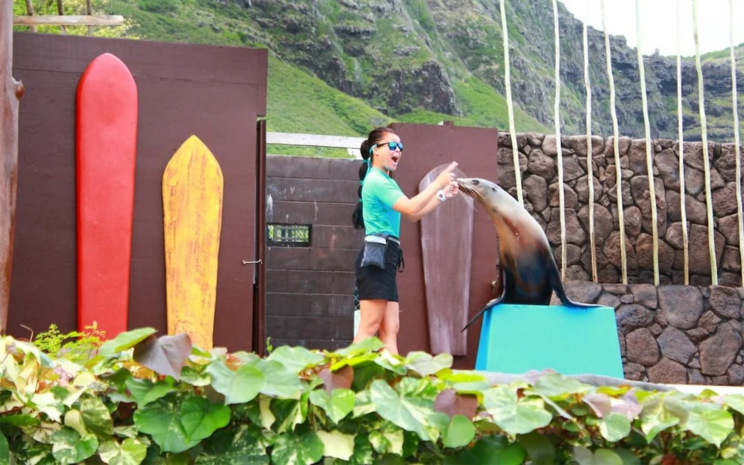 Sea Life Park Hawaii Tickets Image 5
