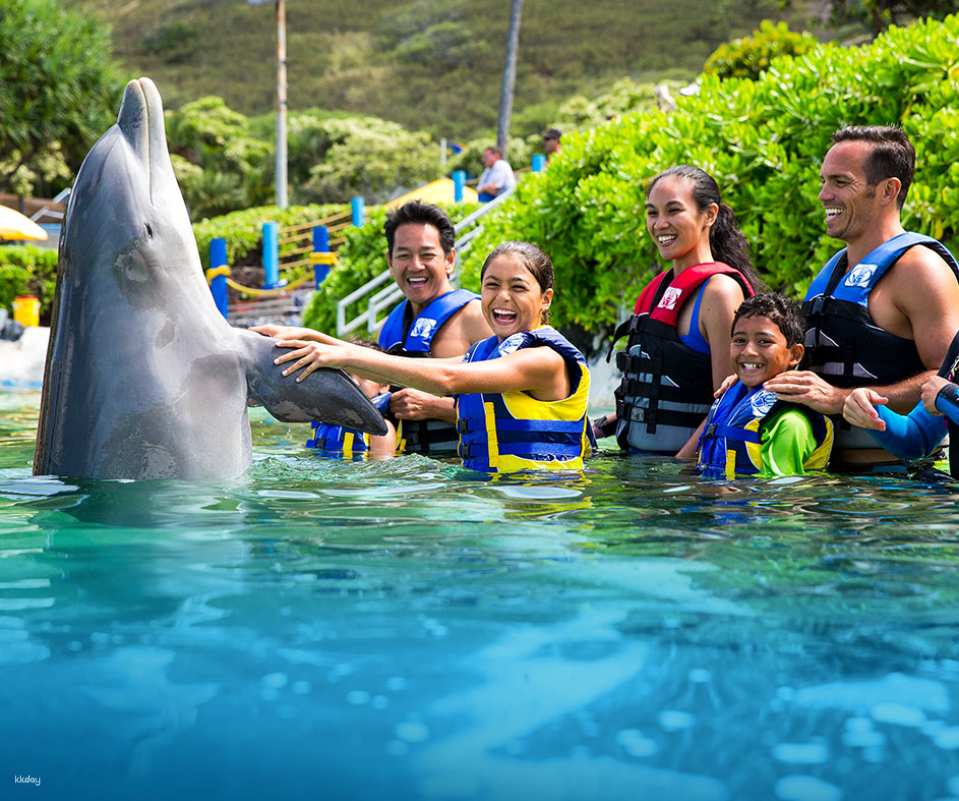 Sea Life Park Ticket | Hawaii