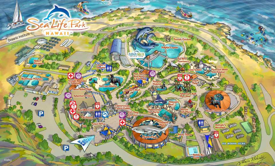 Sea Life Park Ticket | Hawaii