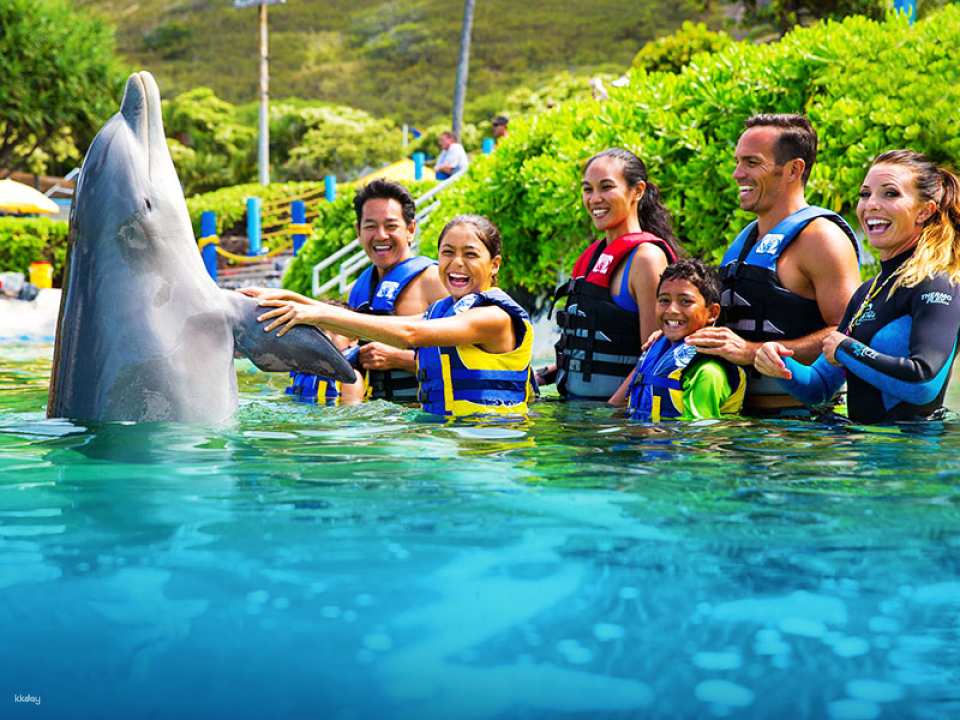 Sea Life Park Ticket with Dolphin Encounter | Hawaii