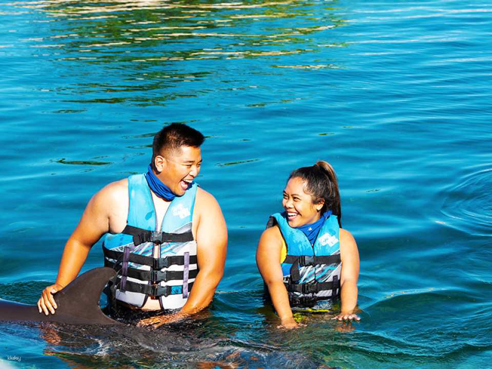 Sea Life Park Ticket with Dolphin Encounter | Hawaii