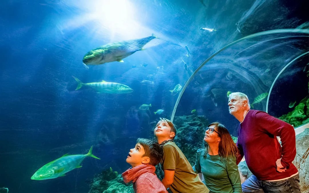 SEA LIFE Speyer Entry Tickets Image 1