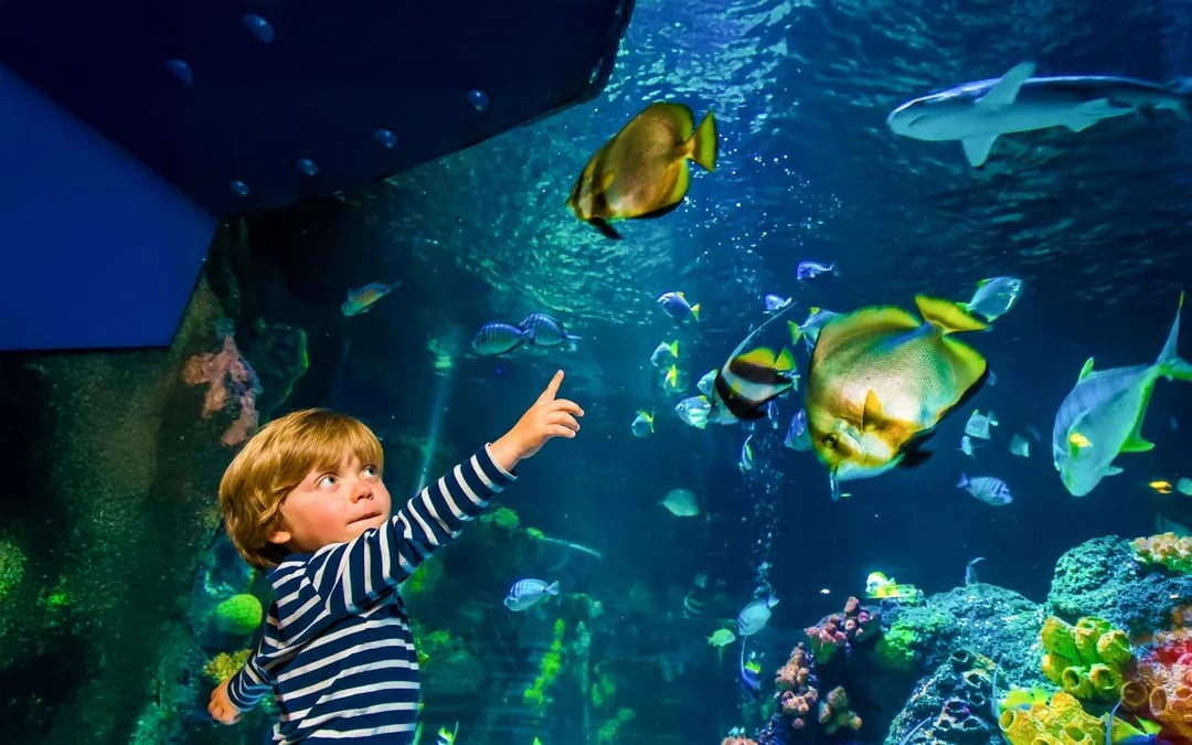 SEA LIFE Speyer Entry Tickets Image 2