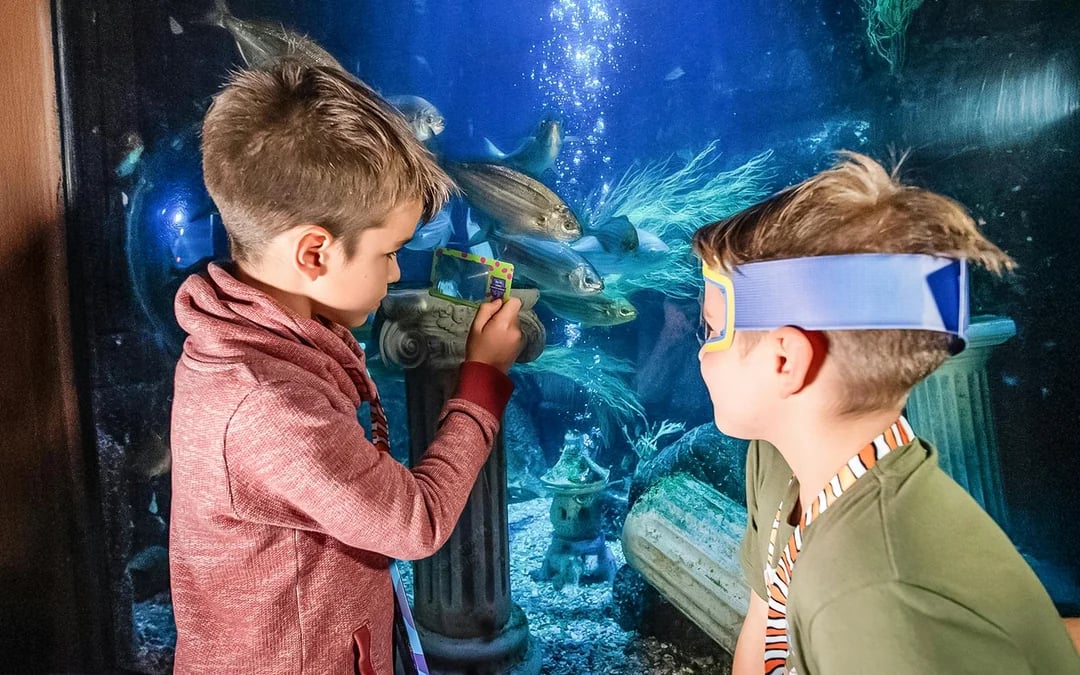 SEA LIFE Speyer Entry Tickets Image 4