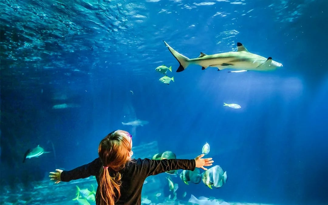 SEA LIFE Speyer Entry Tickets Image 7