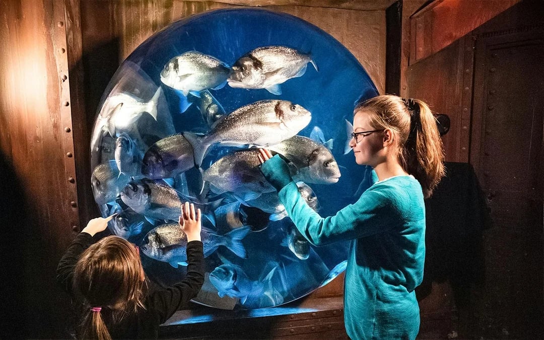 SEA LIFE Speyer Entry Tickets Image 9