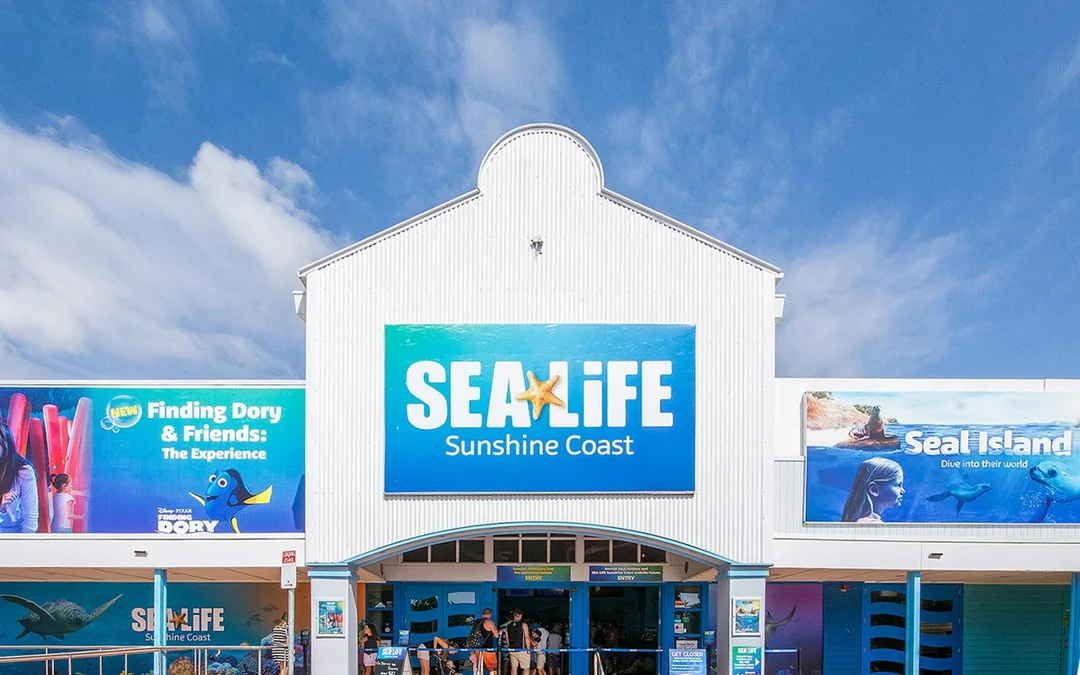 SEA LIFE Sunshine Coast Aquarium Tickets Image 2