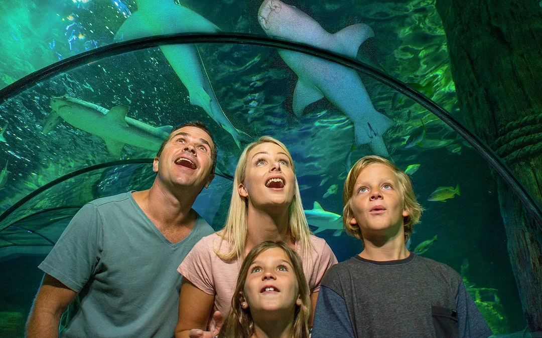 SEA LIFE Sunshine Coast Aquarium Tickets Image 4