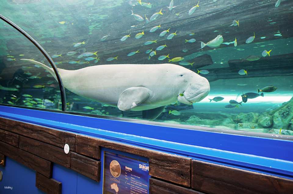 SEA LIFE Sydney Aquarium Admission Ticket + Digi Photo Pass | Australia