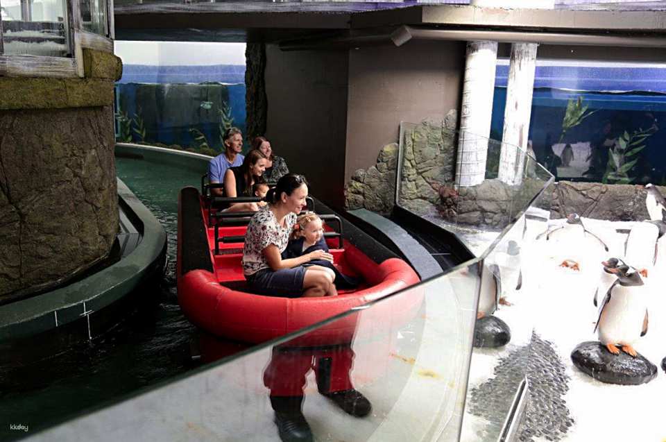 SEA LIFE Sydney Aquarium Admission Ticket + Digi Photo Pass | Australia