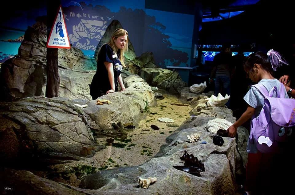 SEA LIFE Sydney Aquarium Admission Ticket + Digi Photo Pass | Australia