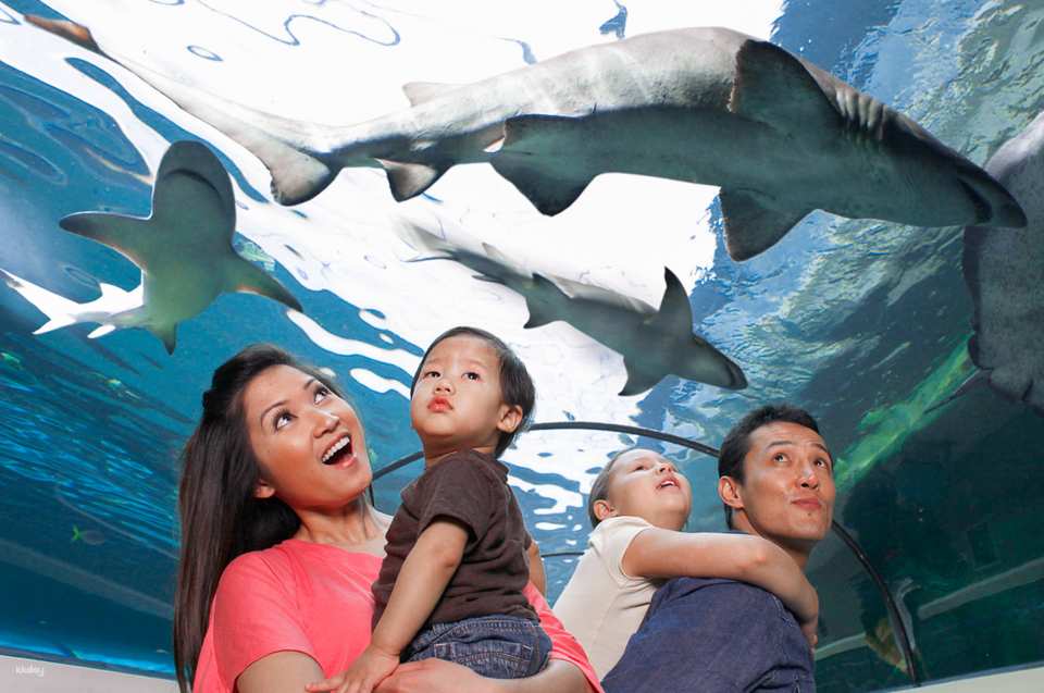 SEA LIFE Sydney Aquarium Admission Ticket + Digi Photo Pass | Australia