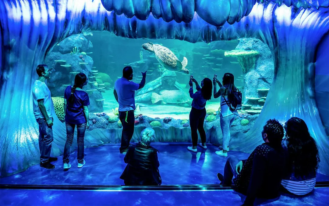 SEA LIFE Sydney Aquarium Tickets Image 1