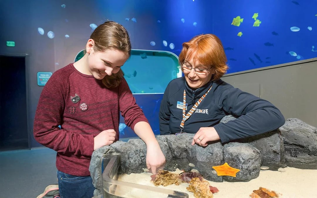 SEA LIFE Timmendorfer Strand Entry Tickets Image 2