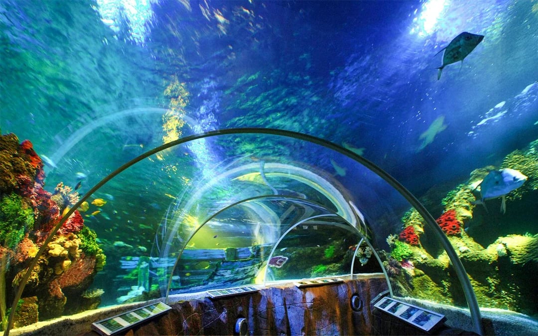 SEA LIFE Timmendorfer Strand Entry Tickets Image 3